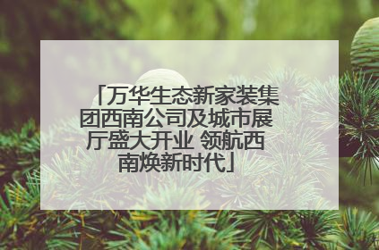 万华生态新家装集团西南公司及城市展厅盛大开业 领航西南焕新时代