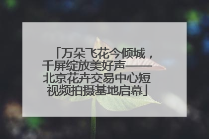 万朵飞花今倾城，千屏绽放美好声——北京花卉交易中心短视频拍摄基地启幕