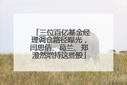 三位百亿基金经理调仓路径曝光，闫思倩、葛兰、郑澄然增持这些股