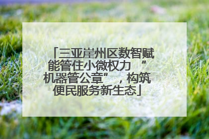 三亚崖州区数智赋能管住小微权力 “机器管公章”，构筑便民服务新生态