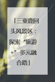 三亚鹿回头风景区：探索“旅游+”多元融合路