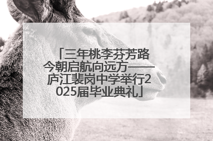三年桃李芬芳路 今朝启航向远方——庐江裴岗中学举行2025届毕业典礼