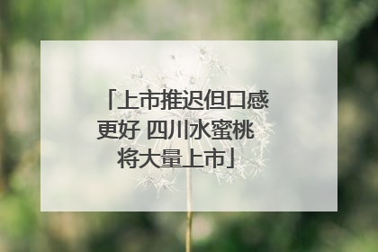 上市推迟但口感更好 四川水蜜桃将大量上市