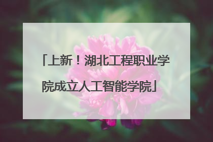 上新！湖北工程职业学院成立人工智能学院