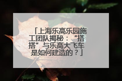 上海乐高乐园施工团队揭秘：“搭搭”与乐高大飞车是如何建造的？