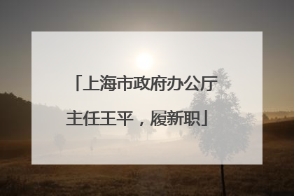上海市政府办公厅主任王平，履新职