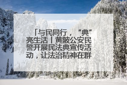 与民同行，“典”亮生活丨黄陂公安民警开展民法典宣传活动，让法治精神在群众心中落地生根