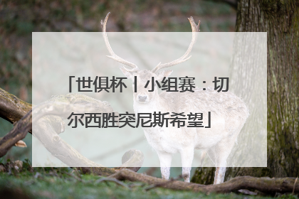 世俱杯丨小组赛：切尔西胜突尼斯希望