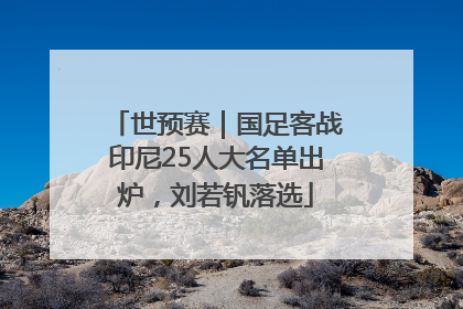 世预赛｜国足客战印尼25人大名单出炉，刘若钒落选