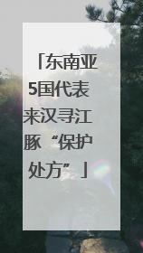 东南亚5国代表来汉寻江豚“保护处方”