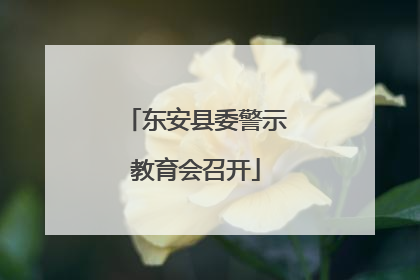 东安县委警示教育会召开