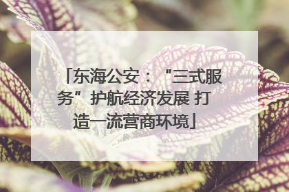 东海公安：“三式服务”护航经济发展 打造一流营商环境