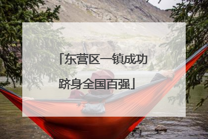 东营区一镇成功跻身全国百强