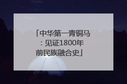 中华第一青铜马：见证1800年前民族融合史