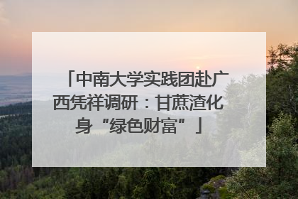 中南大学实践团赴广西凭祥调研：甘蔗渣化身“绿色财富”