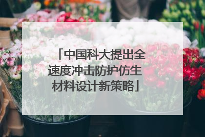中国科大提出全速度冲击防护仿生材料设计新策略