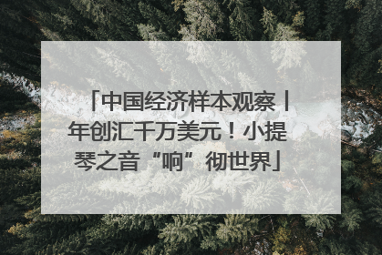 中国经济样本观察丨年创汇千万美元！小提琴之音“响”彻世界