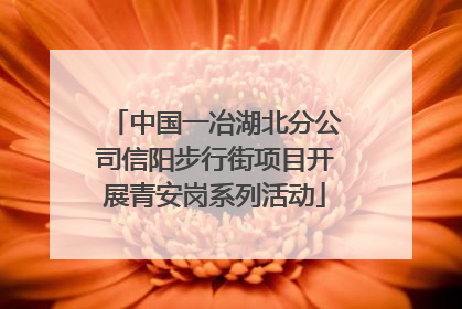 中国一冶湖北分公司信阳步行街项目开展青安岗系列活动