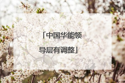 中国华能领导层有调整