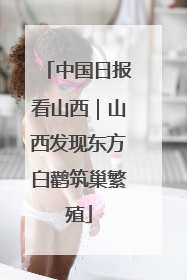 中国日报看山西｜山西发现东方白鹳筑巢繁殖