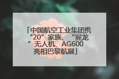 中国航空工业集团携“20”家族、“翼龙”无人机、AG600亮相巴黎航展