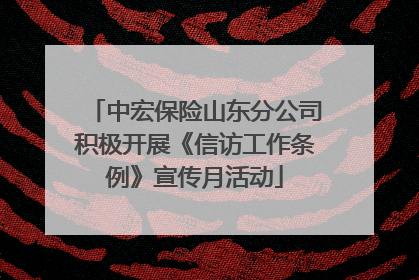 中宏保险山东分公司积极开展《信访工作条例》宣传月活动