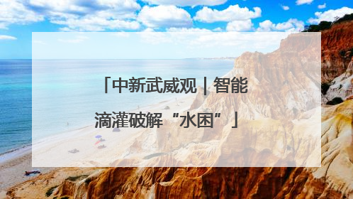 中新武威观｜智能滴灌破解“水困”