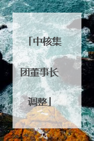 中核集团董事长调整