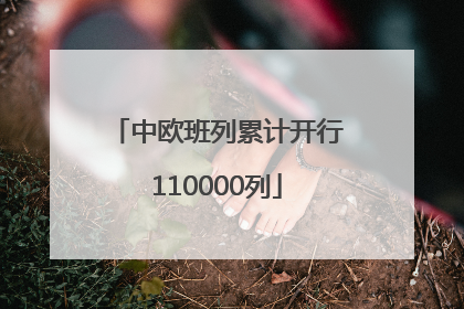 中欧班列累计开行110000列