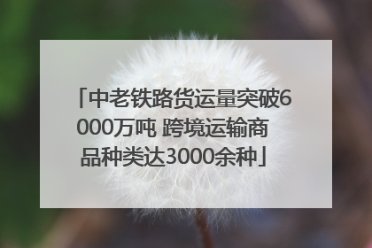 中老铁路货运量突破6000万吨 跨境运输商品种类达3000余种