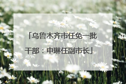 乌鲁木齐市任免一批干部：申琳任副市长