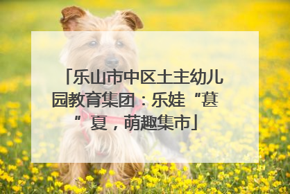 乐山市中区土主幼儿园教育集团：乐娃“葚”夏，萌趣集市