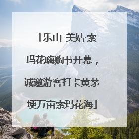乐山-美姑·索玛花嗨购节开幕，诚邀游客打卡黄茅埂万亩索玛花海