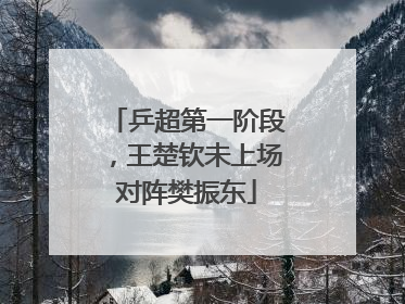 乒超第一阶段，王楚钦未上场对阵樊振东