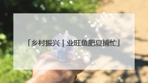 乡村振兴｜业旺鱼肥夏捕忙