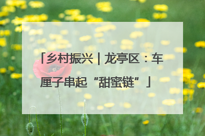 乡村振兴｜龙亭区：车厘子串起“甜蜜链”