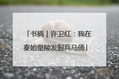书摘｜许卫红：我在秦始皇陵发掘兵马俑