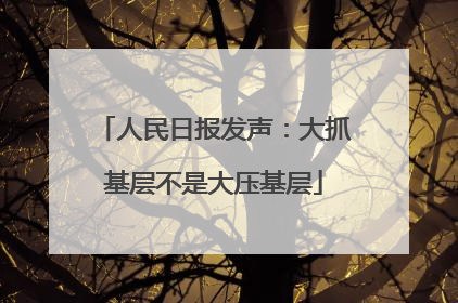 人民日报发声：大抓基层不是大压基层