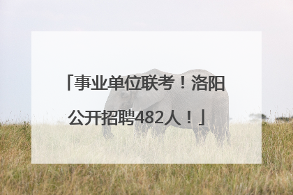 事业单位联考！洛阳公开招聘482人！