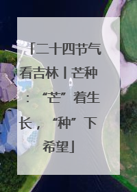 二十四节气看吉林丨芒种：“芒”着生长，“种”下希望
