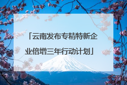 云南发布专精特新企业倍增三年行动计划
