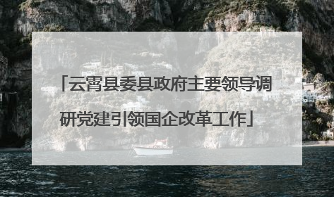 云霄县委县政府主要领导调研党建引领国企改革工作
