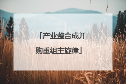 产业整合成并购重组主旋律