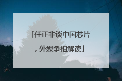 任正非谈中国芯片，外媒争相解读