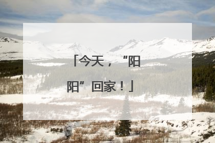 今天，“阳阳”回家！