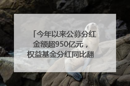 今年以来公募分红金额超950亿元，权益基金分红同比翻倍｜招财猫