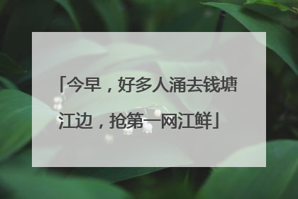 今早，好多人涌去钱塘江边，抢第一网江鲜