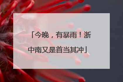 今晚，有暴雨！浙中南又是首当其冲