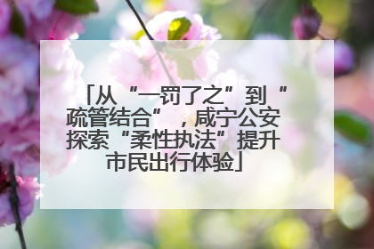 从“一罚了之”到“疏管结合”，咸宁公安探索“柔性执法”提升市民出行体验