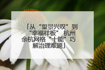 从“望景兴叹”到“幸福样板” 杭州余杭网格“十能”巧解治理难题